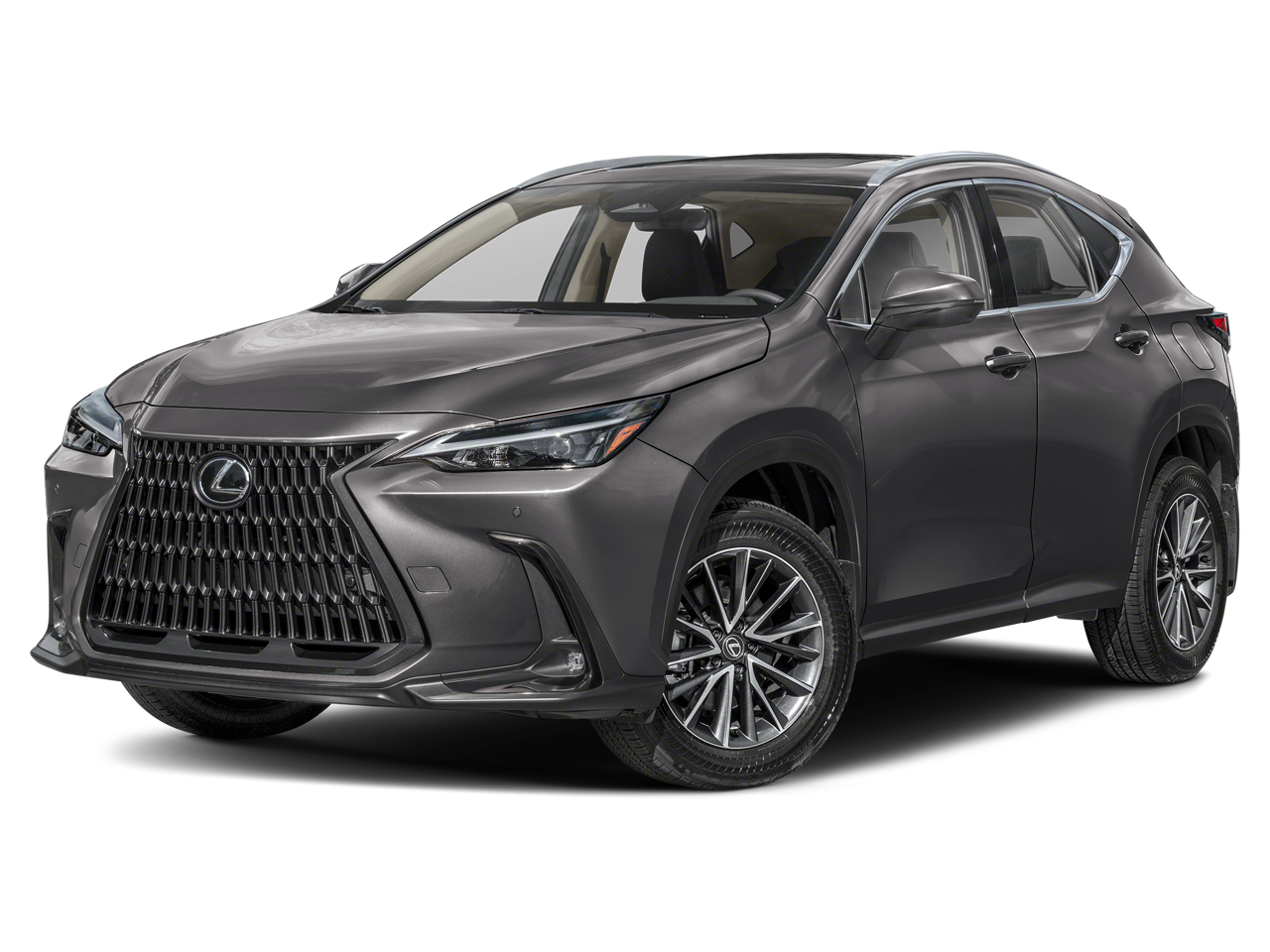 2024 Lexus NX 350 350 AWD's photo
